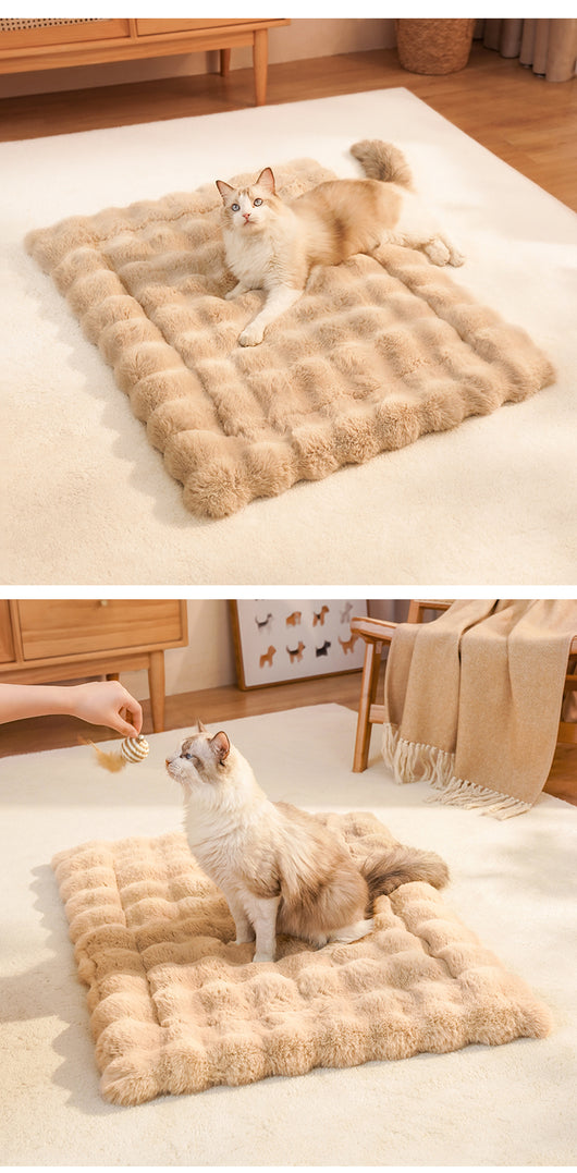Cama Térmica Acogedora para Gatos - Colchoneta Suave y Abrigada - Image 11
