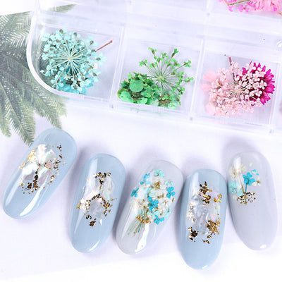 Flores Secas para Nail Art - Image 5