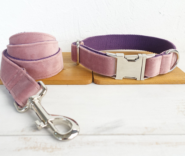 Correa y Collar para Perro
