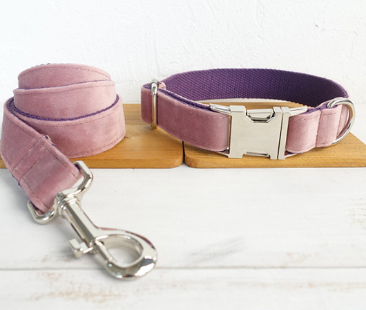 Correa y Collar para Perro - Image 6