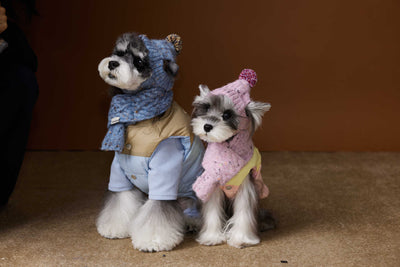 Chaleco Acolchado de Invierno para Perros Pequeños - Teddy, Schnauzer, Bichón - Image 13