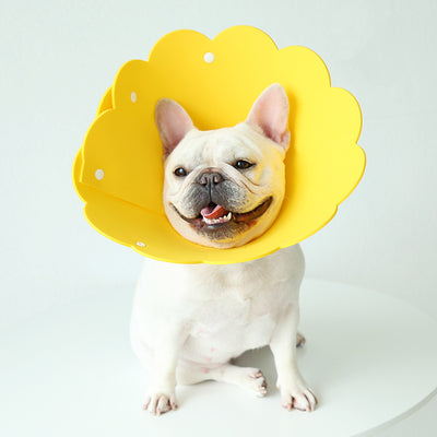 Collar Protector Antilamido con Cubierta Girasol para Mascotas - Image 5