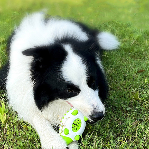 Juguete Dental Interactivo para Perros - Limpieza de Dientes y Dispensador de Premios