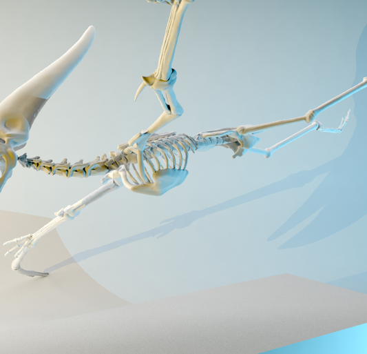 Servicio de Impresión 3D y Fabricación de Prototipos Profesionales