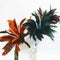 Juguete Interactivo de Plumas de Colores para Gatos