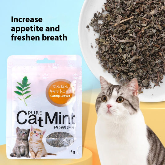 Pure Cat Mint Powder pouch with two kittens, a green leaf graphic, and a window showing dried catnip leaves. Label reads 'Catnip Leaves' and '5g'.