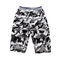Camuflagem 4