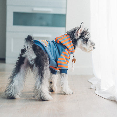 Sudadera con Capucha para Perros - Image 3
