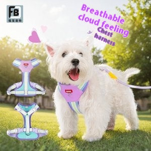 Orange and gray pet harness made of Oxford cloth with reflective trim, a top handle, and adjustable straps. - Image 12