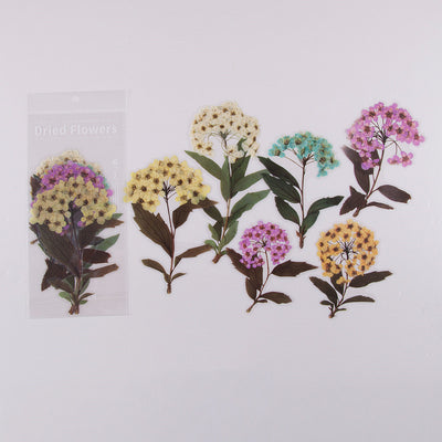 Stickers Decorativos Flores para Scrapbooking, Bullet Journal y DIY - Image 10