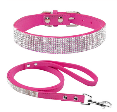 Collar para Perro Estilo Hot Dog - Image 17