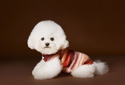 Chaleco Sin Mangas para Mascotas Schnauzer Bichón Rayas Arcoíris Variegadas - Image 15
