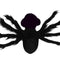 Aranha Negra M