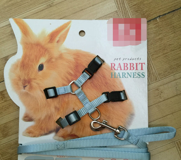 Cuerda de amarre para mascotas pequeñas