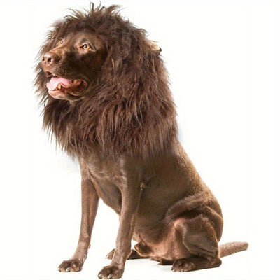 Funda Divertida Cabeza de León - Accesorios Mascotas Rey de la Selva - Image 13