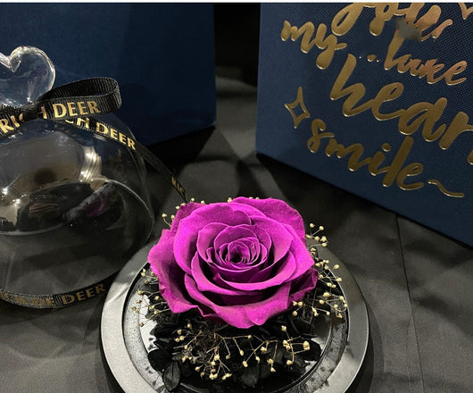 Rosas Preservadas Amor Eterno - Regalo Perfecto para San Valentín y Cumpleaños - Image 6