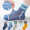 5 Color Mesh S