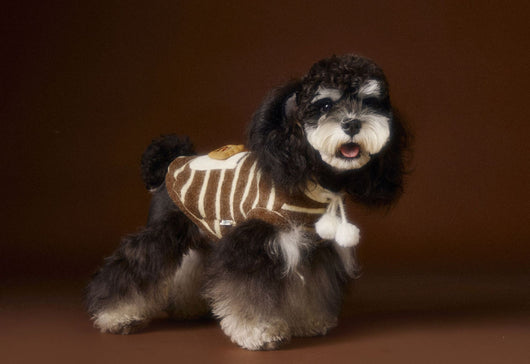 Suéter Acogedor de Galleta Felt para Mascotas - Otoño e Invierno - Image 22
