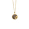Sterling Plateado Zodiac Grey shell Aquarius