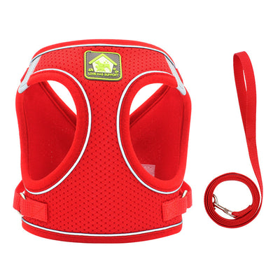 Correa Ajustable para Gatos con Arnés de Seguridad - Image 8