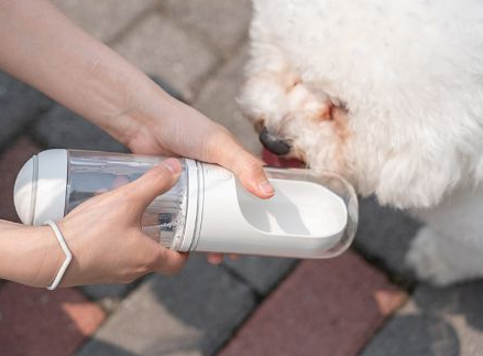 Bebedero Portátil para Mascotas - Botella de Viaje