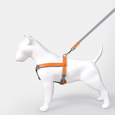Arnés de Pecho para Perro en Cuero con Correa de Nylon - Image 10