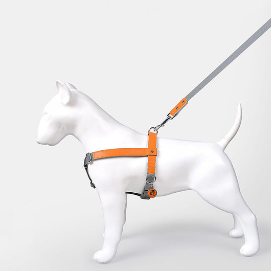 Arnés de Pecho para Perro en Cuero con Correa de Nylon - Image 10