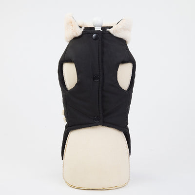 Ropa para Mascotas con Moño Elegante - Image 5