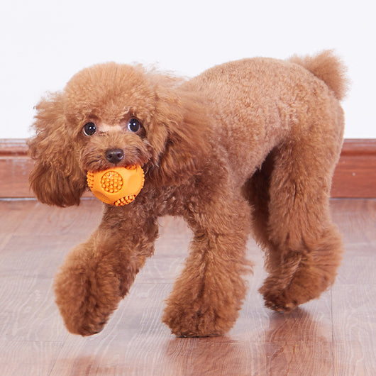 Orange textured pet toy ball with nubs and a bone-shaped logo, measuring 6cm, designed for chewing and sounding. - Image 4