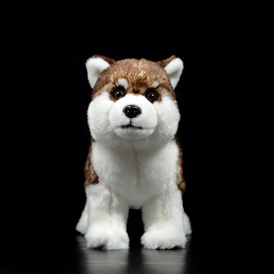 Peluche Husky Marrón Realista - Juguete de Simulación Premium - Image 6
