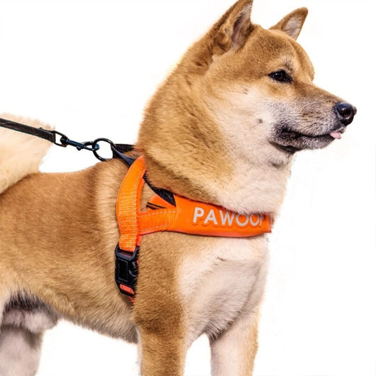 Arnés de Pecho para Perros con Correa Integrada