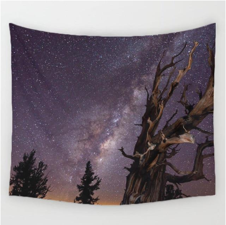 Starry Night Tapestry featuring the Milky Way galaxy above a gnarled tree and evergreen silhouettes.