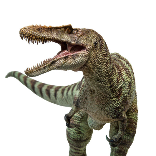Dragón Qianzhou - Figura de Dinosaurio Jurásico Realista Ashu - Image 3