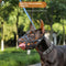 Bozal Reflectante Ajustable Anti-Mordida para Perros