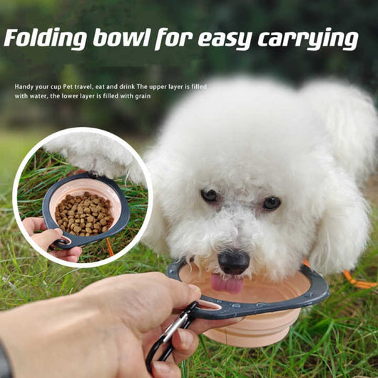 Comedero Plegable Portátil para Mascotas - Tazón de Viaje Multicolor para Perros y Gatos - Image 7