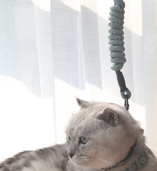 Arnés de Paseo para Gatos con Correa Pectoral - Image 10