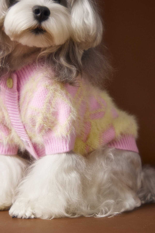 Suéter Cardigan Adorable para Perros Schnauzer y Bichón - Image 22
