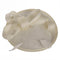 Blanco Lechoso