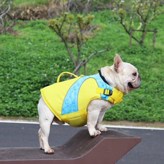 Chaleco Salvavidas para Perros con Contraste de Colores Brillantes - Image 10
