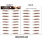 Brown 04