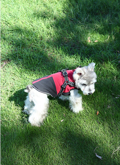 Ropa Impermeable para Mascotas en Algodón Resistente - Image 4