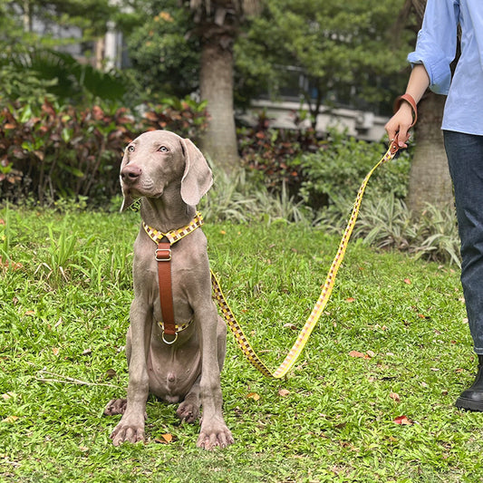 Arnés en I para Mascotas con Cuerda de Tracción - Image 2