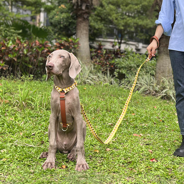 Arnés en I para Mascotas con Cuerda de Tracción
