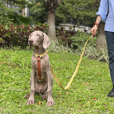 Arnés en I para Mascotas con Cuerda de Tracción - Image 2
