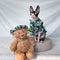 Vestido Floral Verano para Gatos Sphinx - Tela Ligera y Fresca