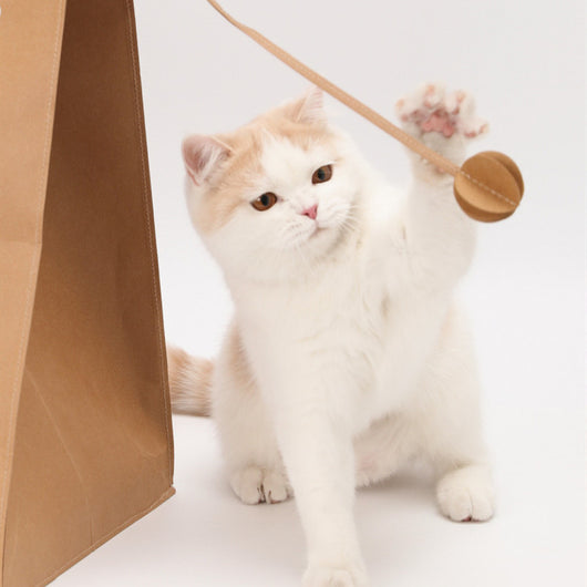Rascador para Gatos con Cartón Ondulado Resistente - Image 8
