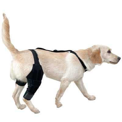 Protector de Rodilla para Perros - Soporte Articular y Cinturón de Protección - Image 8