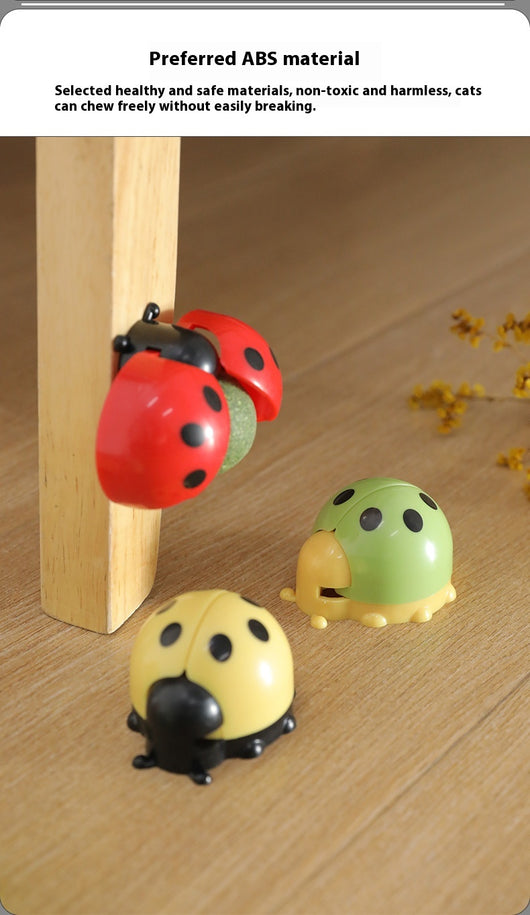 Pelota Interactiva Musical para Gatos con Catnip y Masaje Dental - Image 16