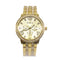 Dourado B