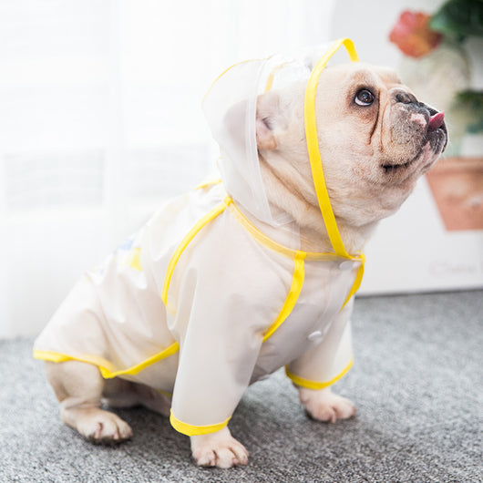 Impermeable para Cachorros - Protección Total - Image 9